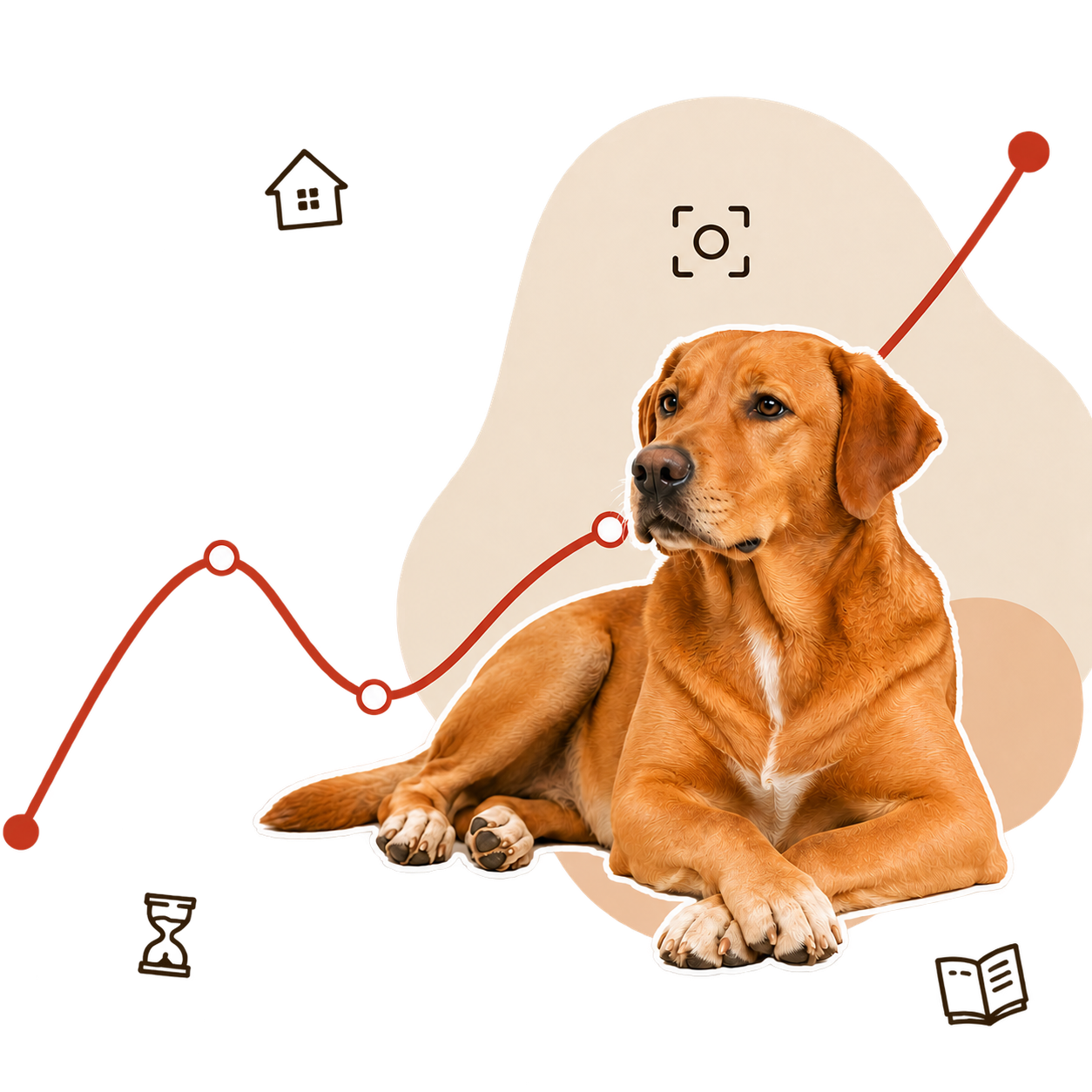 Ilustración de un perro tumbado en calma sobre la curva de umbral, con el eje de días y el de segundos